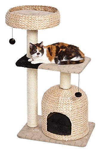 MidWest Cat Furniture | Durable, Stylish Cat Trees & Cat Scratching Posts | 1-Year Manufacturer's Wa | Amazon (US)