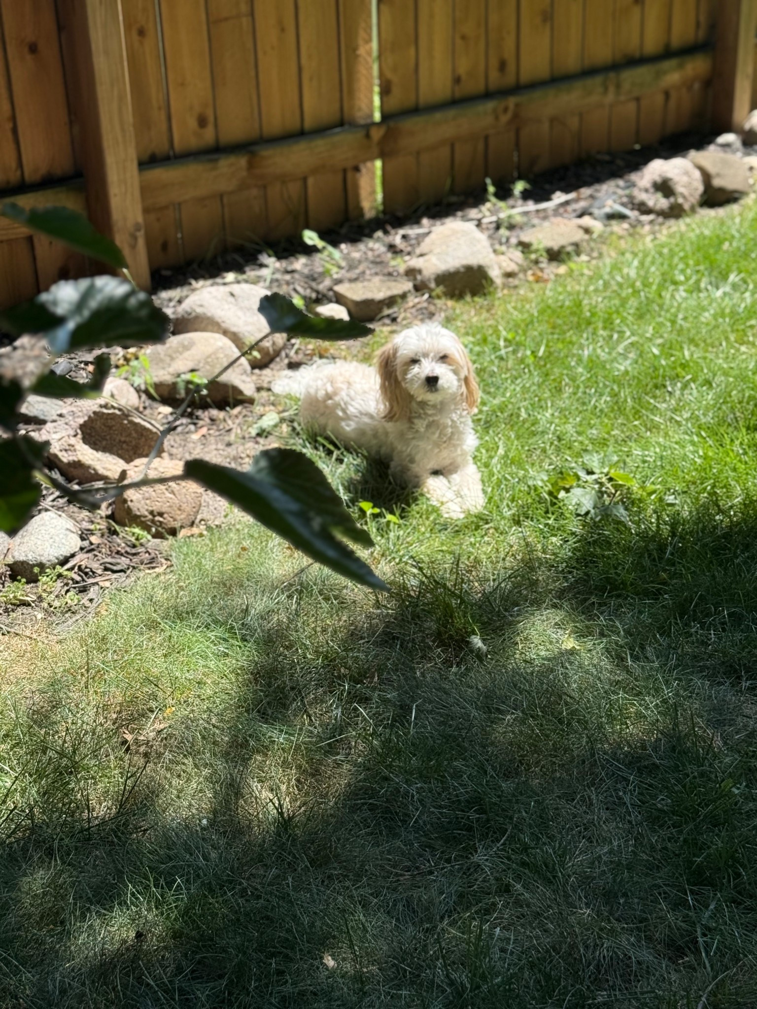 We have started ordering all of our dogs’ prescriptions like Heartgard through Chewy and putting them on Autoship!  Best decision we’ve made to make things more convenient and get a better deal than at our vet’s office! #pets #dogs #chewy

#LTKSeasonal