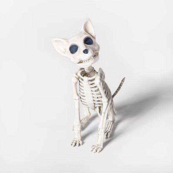 Sitting Kitten Skeleton Decorative Halloween Prop - Hyde & EEK! Boutique™ | Target