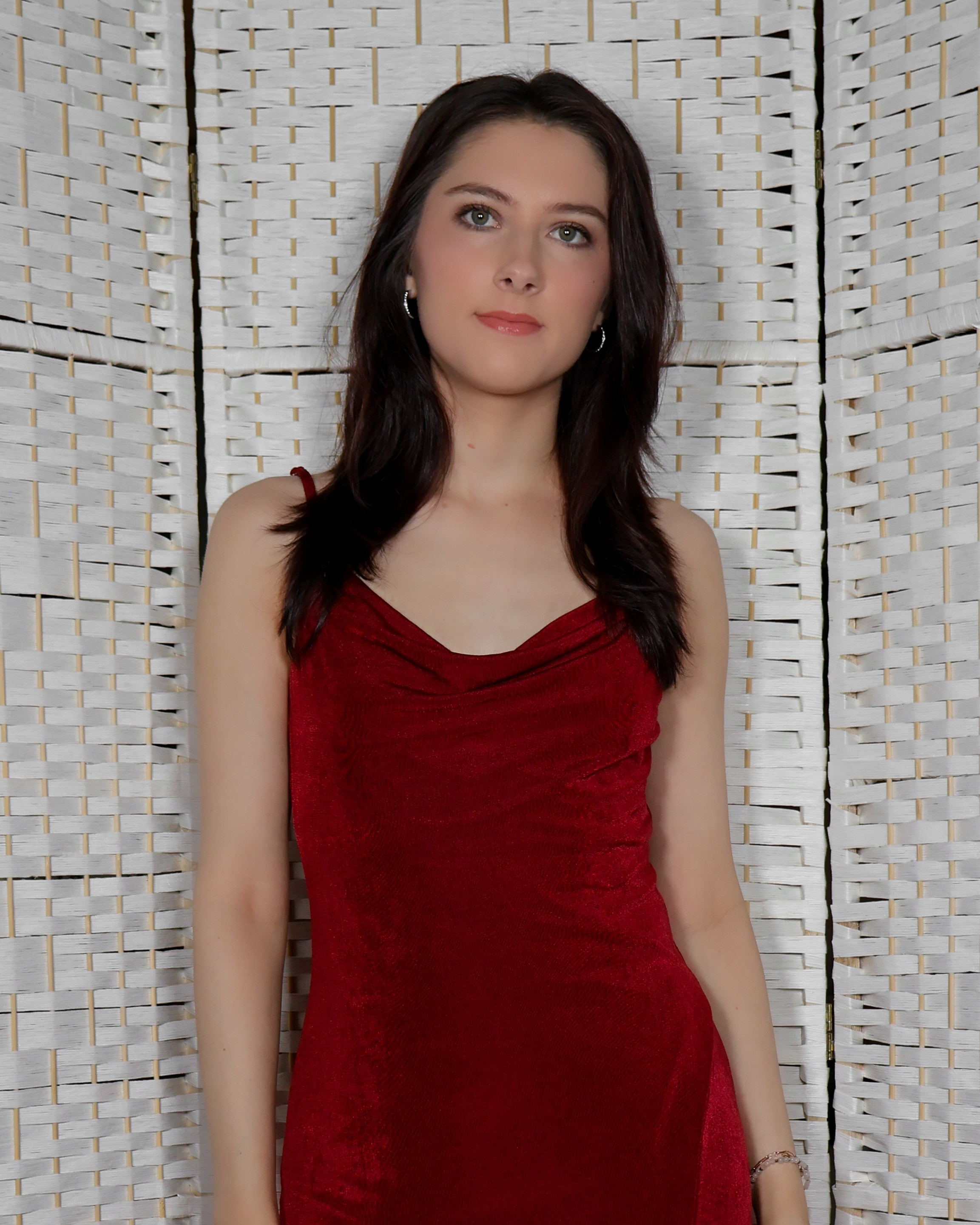 Love this Petal & Pup dress from Victoria's Secret❤️ outfit inspo, holiday fashion  

 #LTKHoliday #LTKootd #LTKFindsUnder100