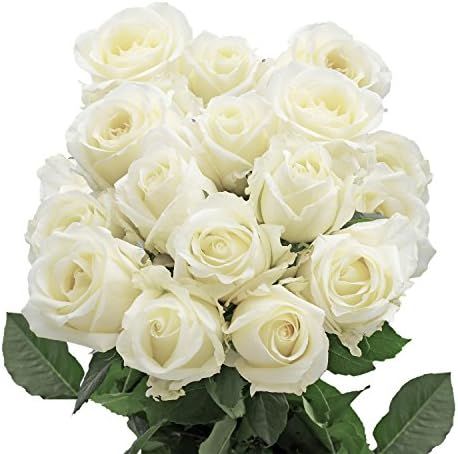 GlobalRose -100 White Roses - Fresh Cut Flower Delivery | Amazon (US)