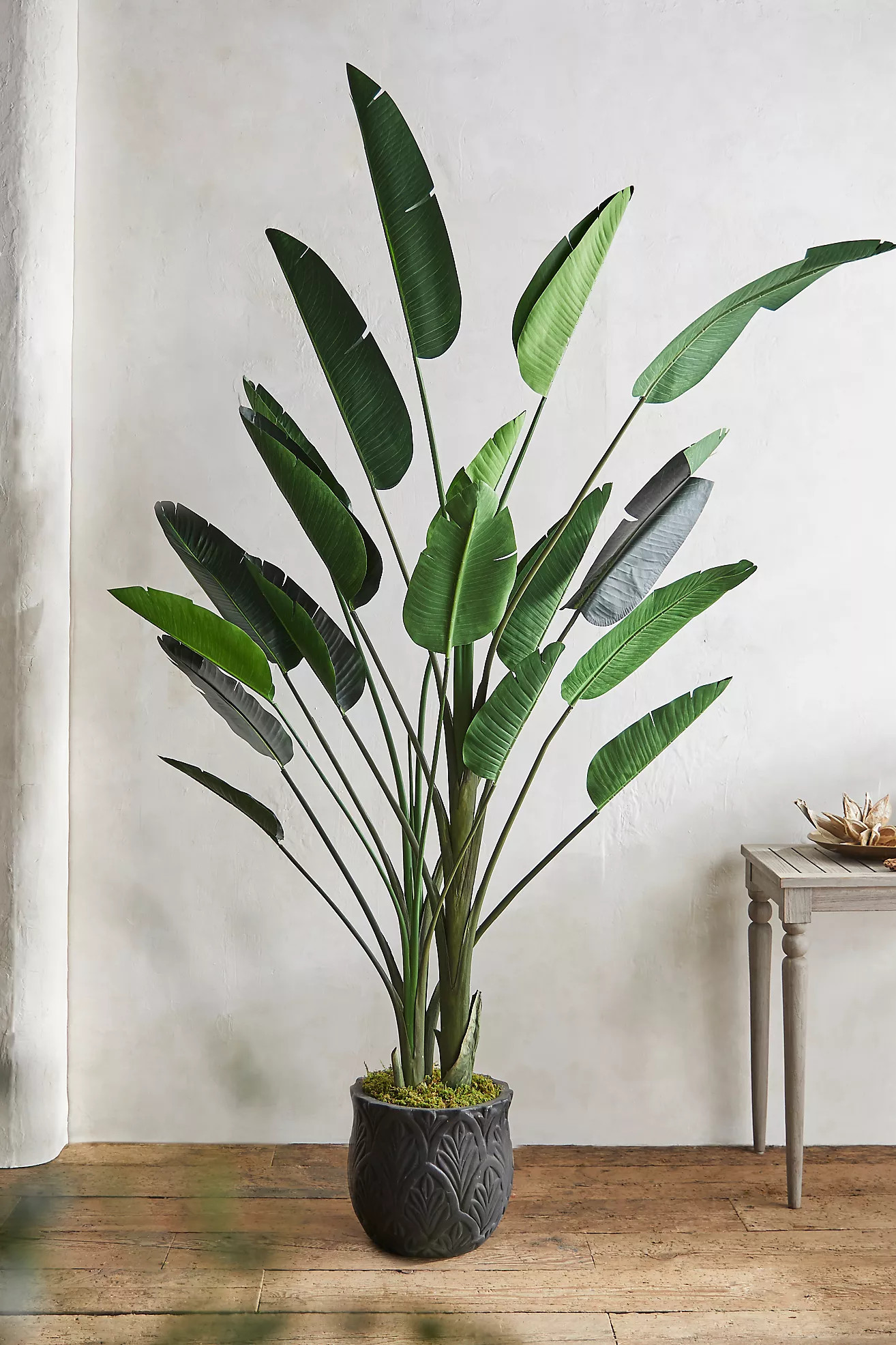 Faux Bird of Paradise, 7' | Anthropologie (US)