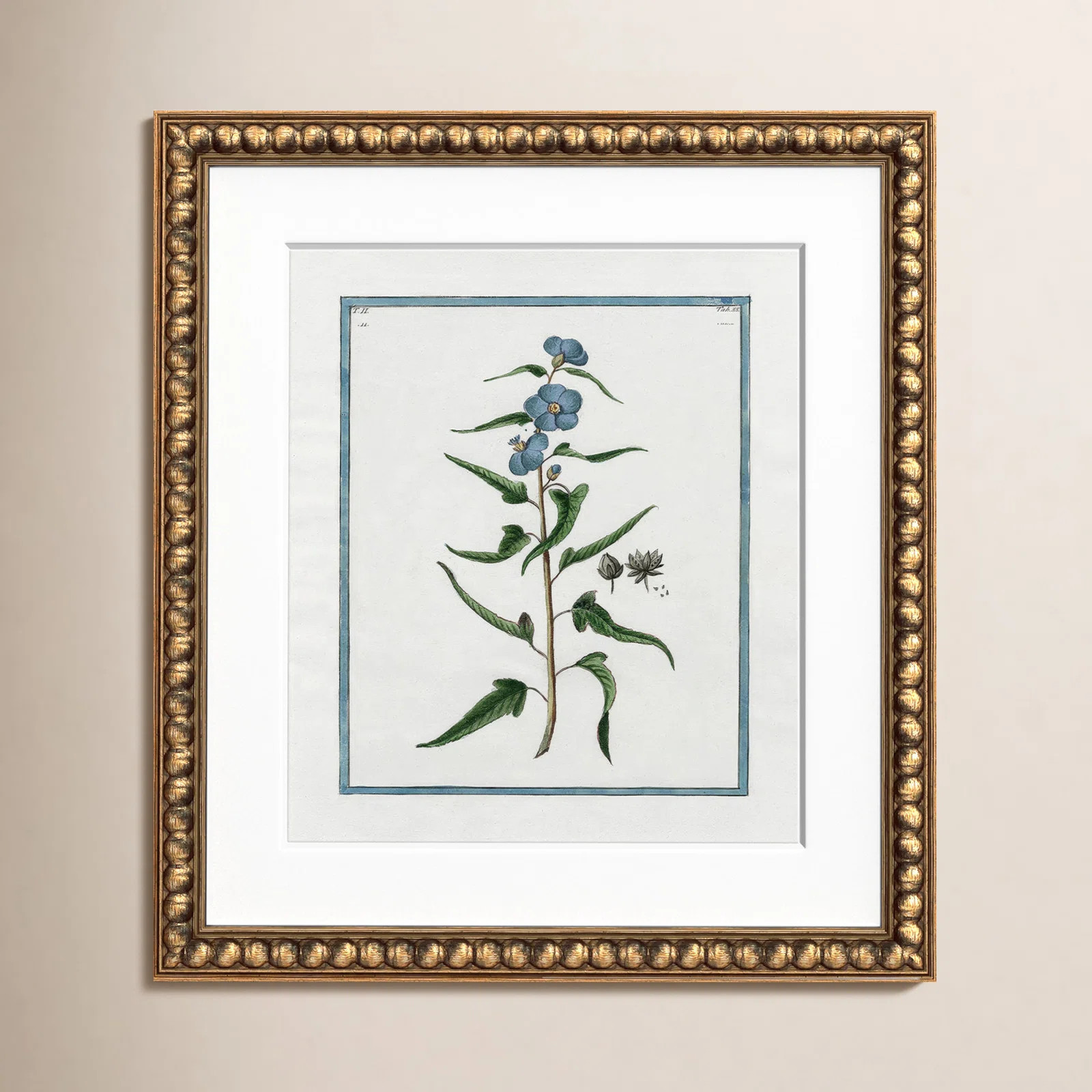 Shabby Elegance Botanical I - Framed Art Full Bleed | Birch Lane