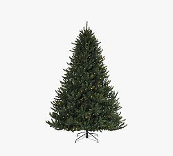 Tree Classics by Balsam Hill Lit Valley Fir Faux Christmas Tree | Pottery Barn (US)