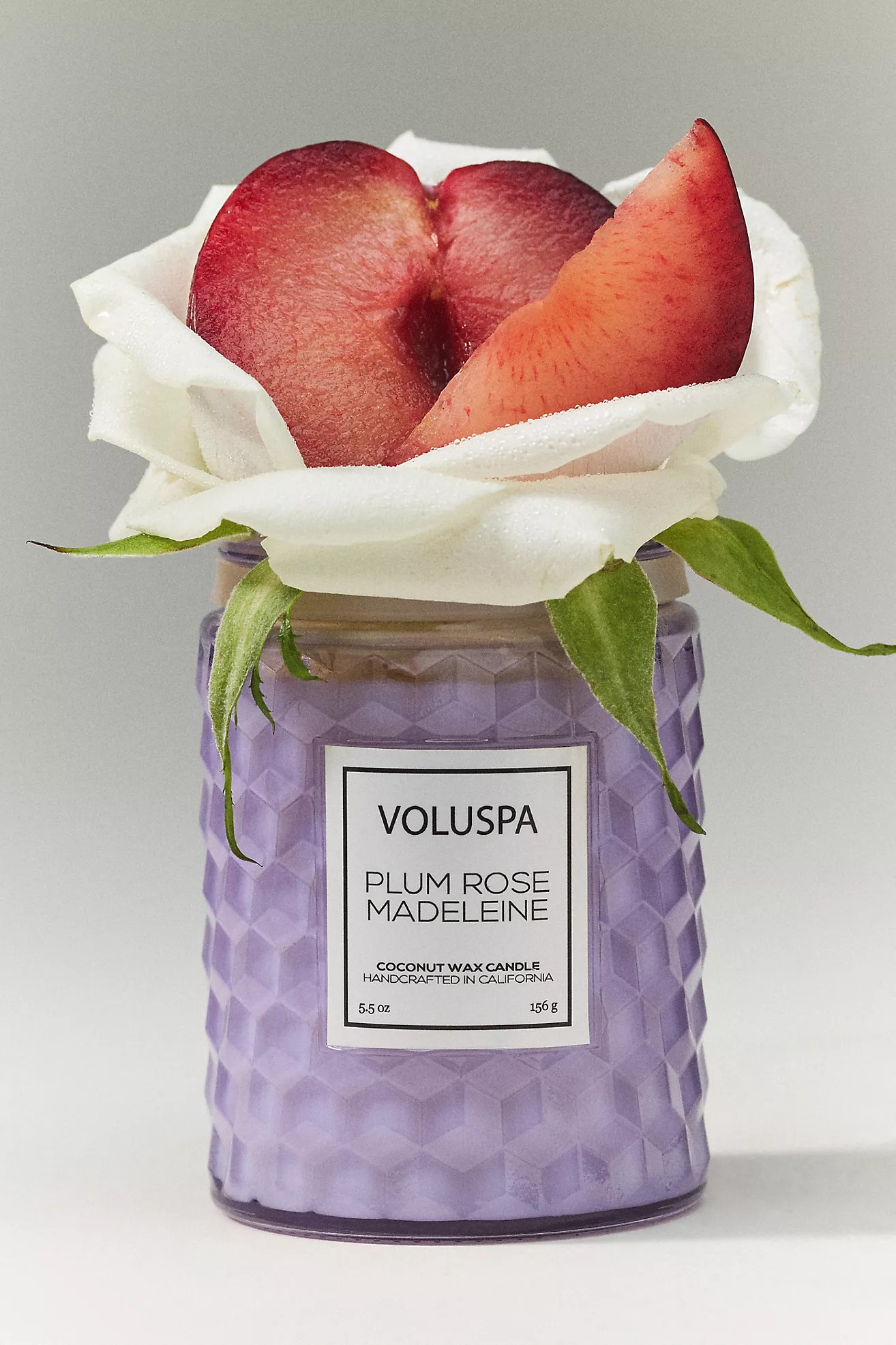 Voluspa Floral Plum Rose Madeleine Glass Candle | Anthropologie (US)