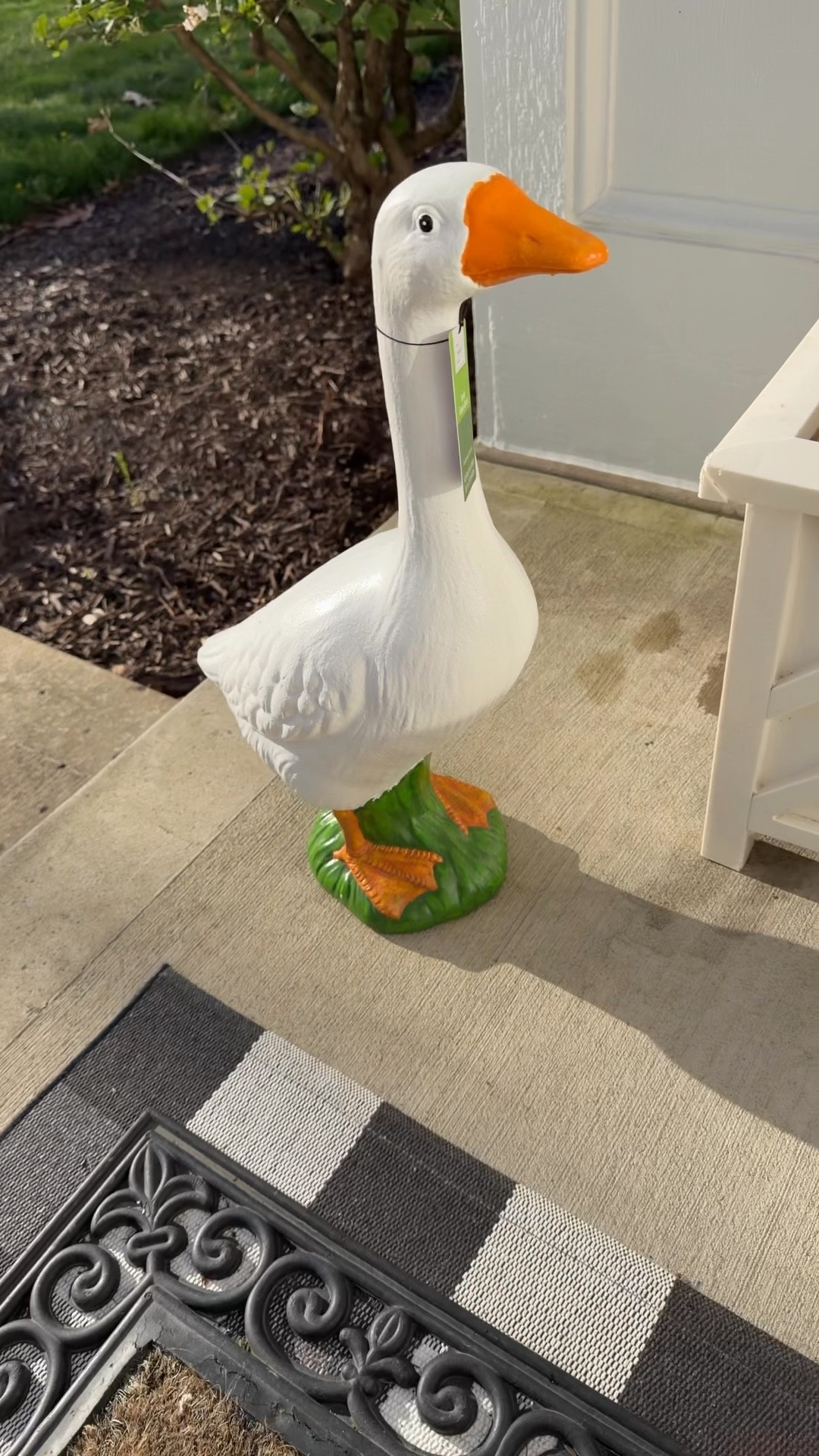 Porch goose secured 🪿 I’ve been waiting forever for this and she was worth it. Now she needs a name + a wardrobe… obviously. I’ll link everything I find for her outfits here.


#LTKmomlife #LTKstorytime #LTKHome
