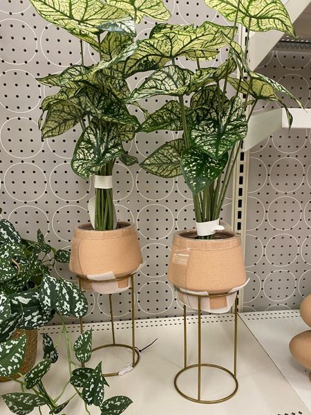 These target vases & planters come with everything pictured and they are gorgeous! The faux plants look so real too.  Would be the perfect addition for an office 

#LTKworkwear #LTKhome #LTKfindsunder50