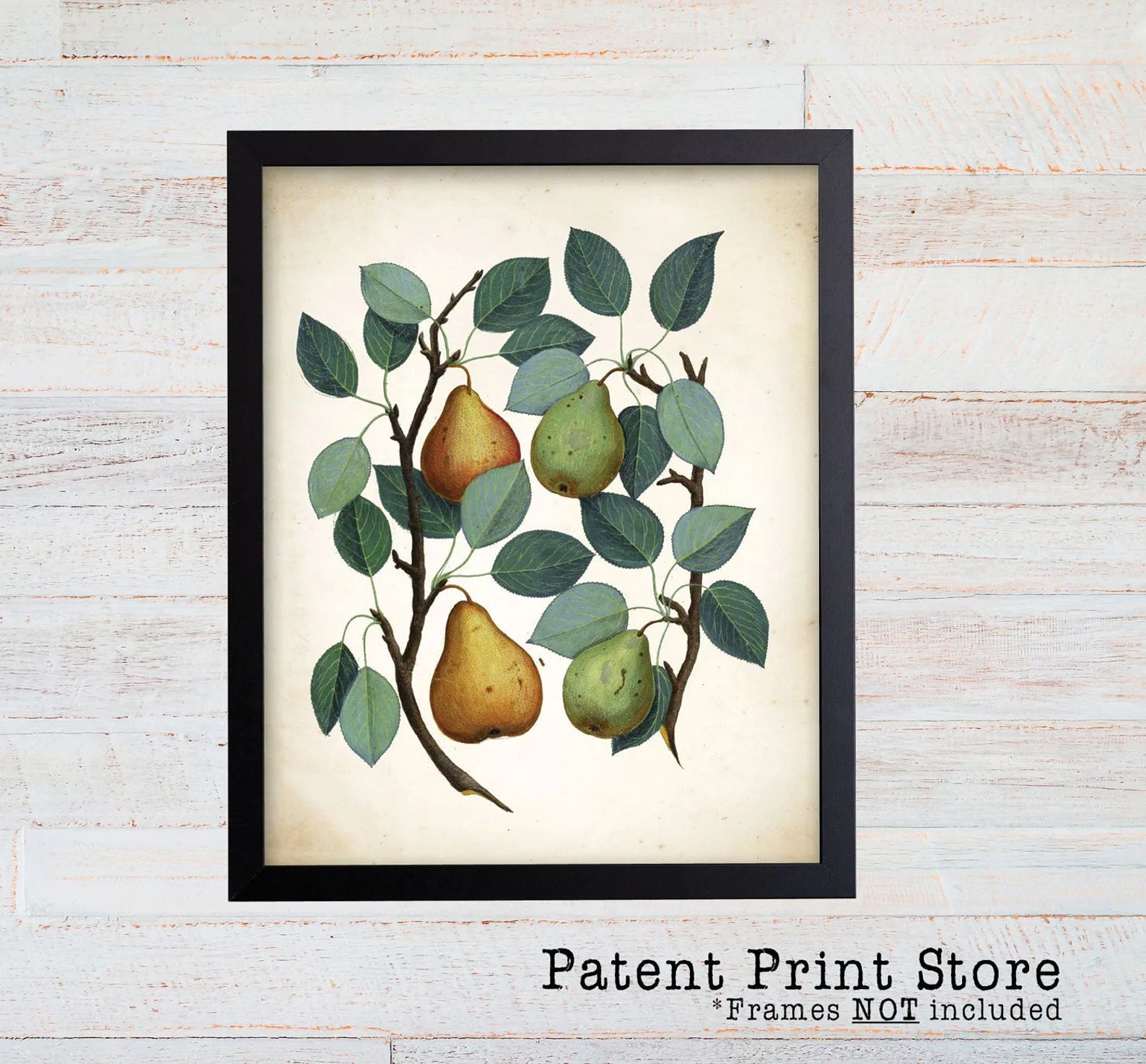 Read the full title
    Antique Pear Print. Pear Illustration. Pear Art. Kitchen Decor. Kitchen S... | Etsy (US)