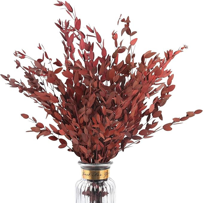 Real Red Eucalyptus Stems Decor 20PCS 17" Dried Willow Eucalyptus Plant Preserved Stems for Home ... | Amazon (US)