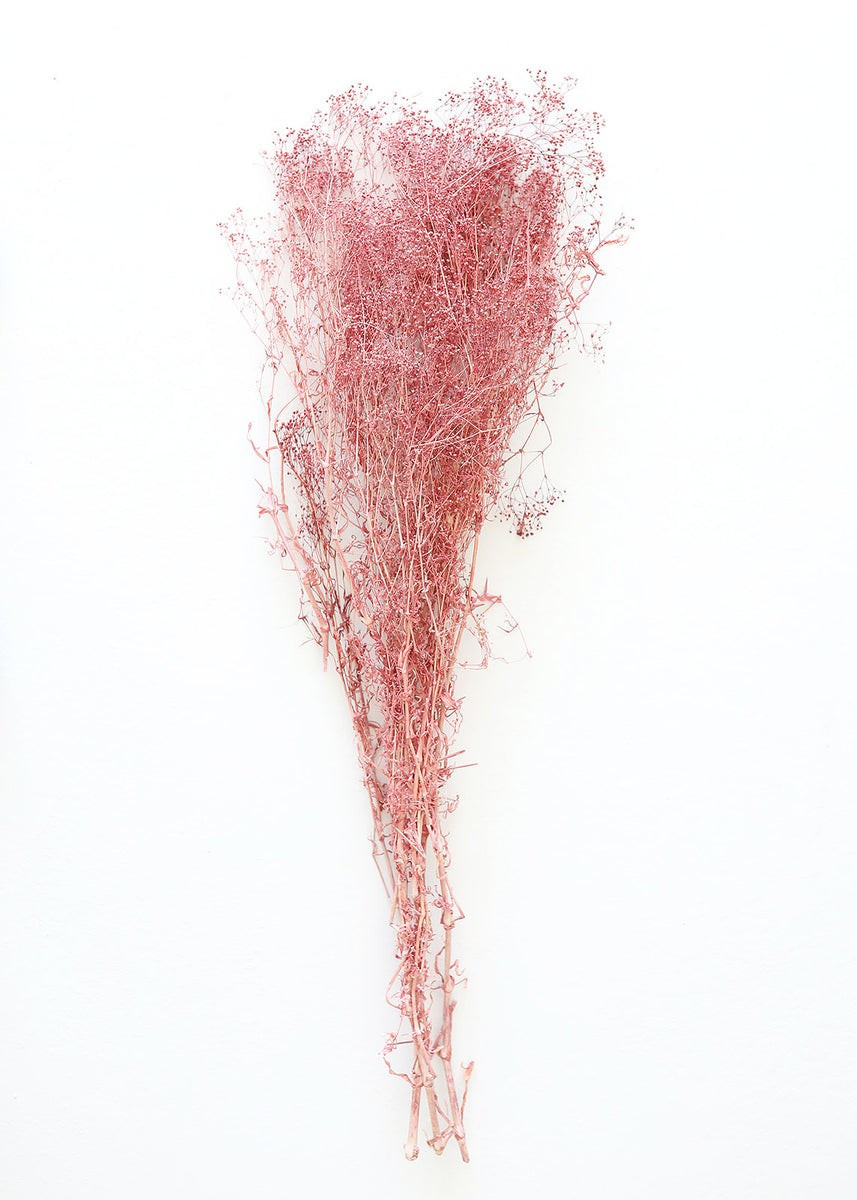 Mauve Preserved Million Star Gyp - 20-24" | Afloral (US)