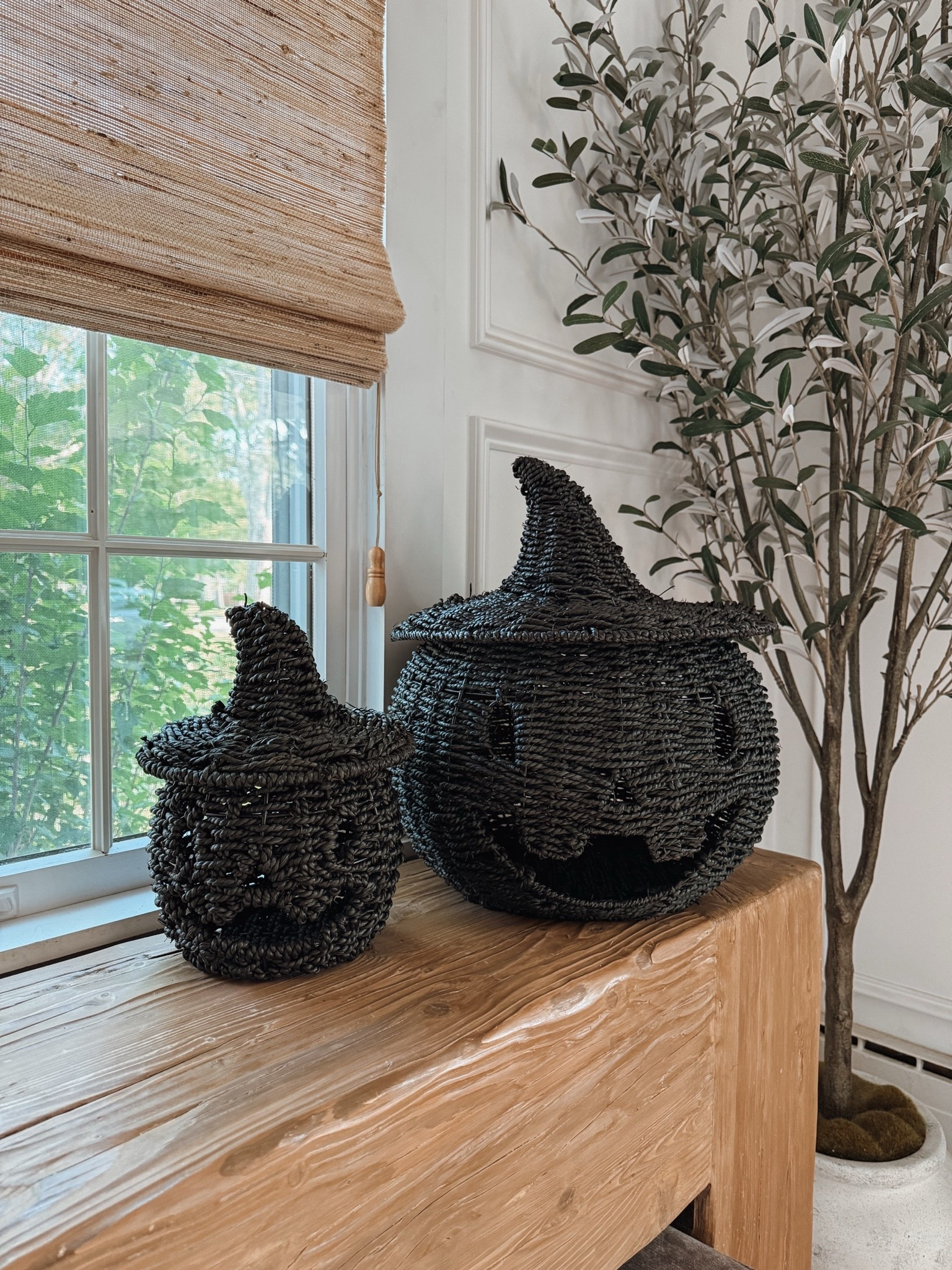 They’re back!! 🖤🖤 
These black seagrass grass jack-o-lanterns sold out before summer was over last year. I was so disappointed they weren’t restocked and had to grab them early for this fall. Don’t sit on these. It’s never too early to shop your favorite fall decor. 

#halloweendecor #falldecor #pumpkindecor

#LTKSeasonal #LTKHome #LTKSaleAlert