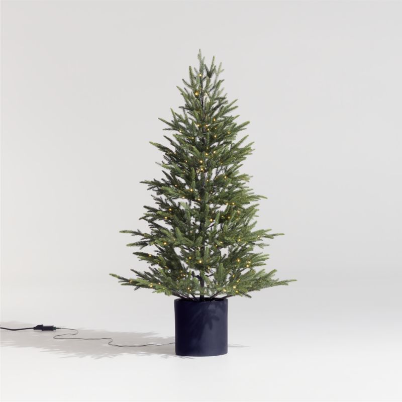 Faux Potted Norway Spruce Pre-Lit LED Tree with White Lights 5' + Reviews | Crate & Barrel | Crate & Barrel