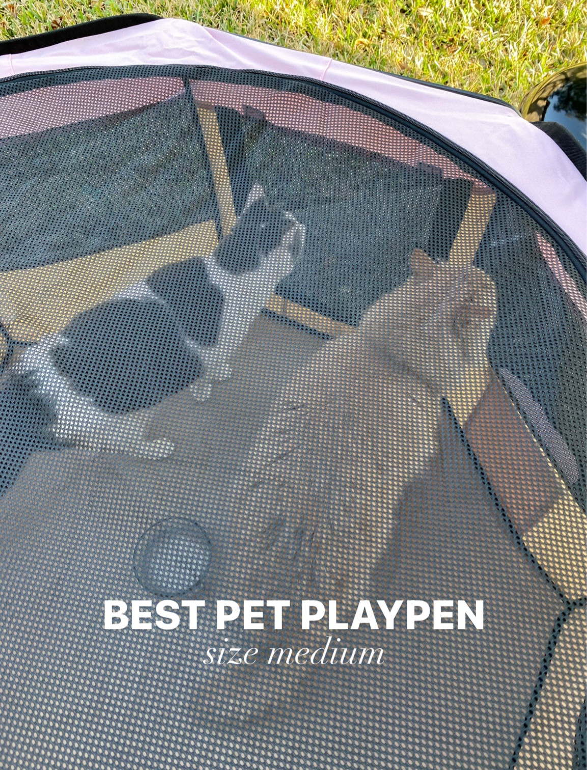 the best pet playpen for safe outdoor enrichment time! this one comes in multiple sizes & is great for cats and dogs 🫶 we got the size medium in pink

[pet gifts, pets accessories, kennel, catio, indoor cat, pet lover holiday present idea]

#LTKfindsunder100 #LTKtravel #LTKhome