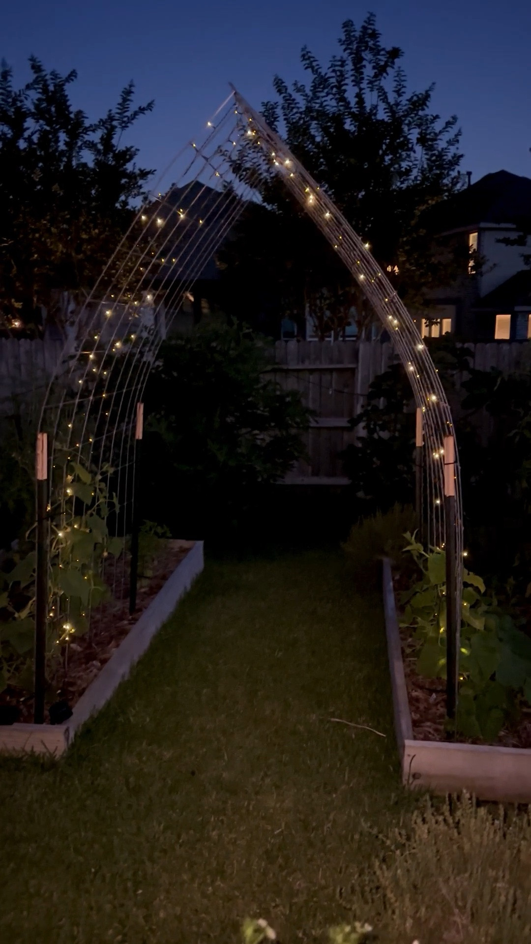 These solar string lights have been such a fun addition to my garden this year. 

The pack comes with 4 sets of lights and each one has a solar panel.

They charge during the day and twinkle all night.

They make the garden look so magical and my granddaughters are loving them!

garden decor • outdoor decor

#LTKHome #LTKdayinmylife #LTKSeasonal