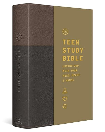 ESV Teen Study Bible (TruTone, Slate/Umber): Holy Bible, English Standard Version | Amazon (US)