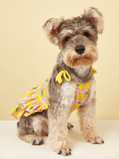 Lemon Print Pet Dress
   SKU: sppet18210421088      
          (1906 Reviews)
            US$3.50... | SHEIN