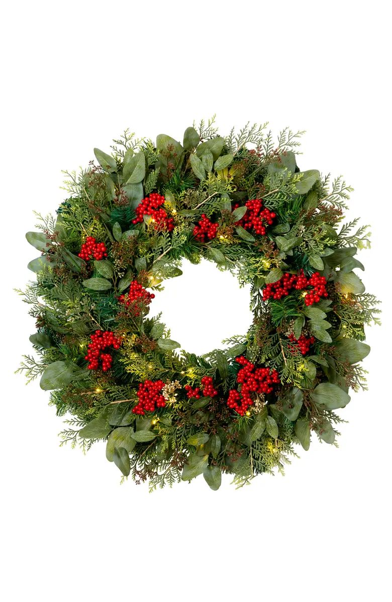 Winter Meadow Pre-Lit Artificial Wreath | Nordstrom