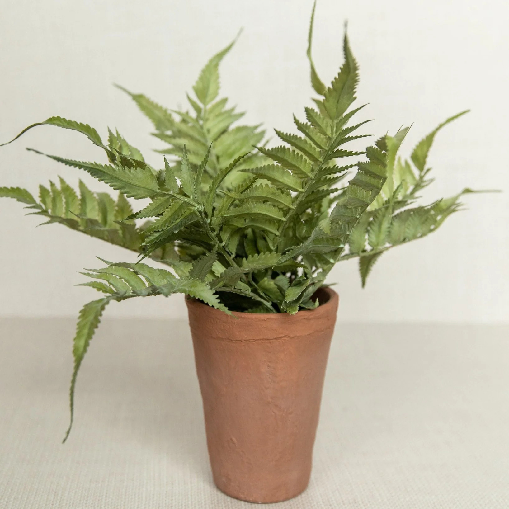 Terracotta Potted Fern | Joyfully Said