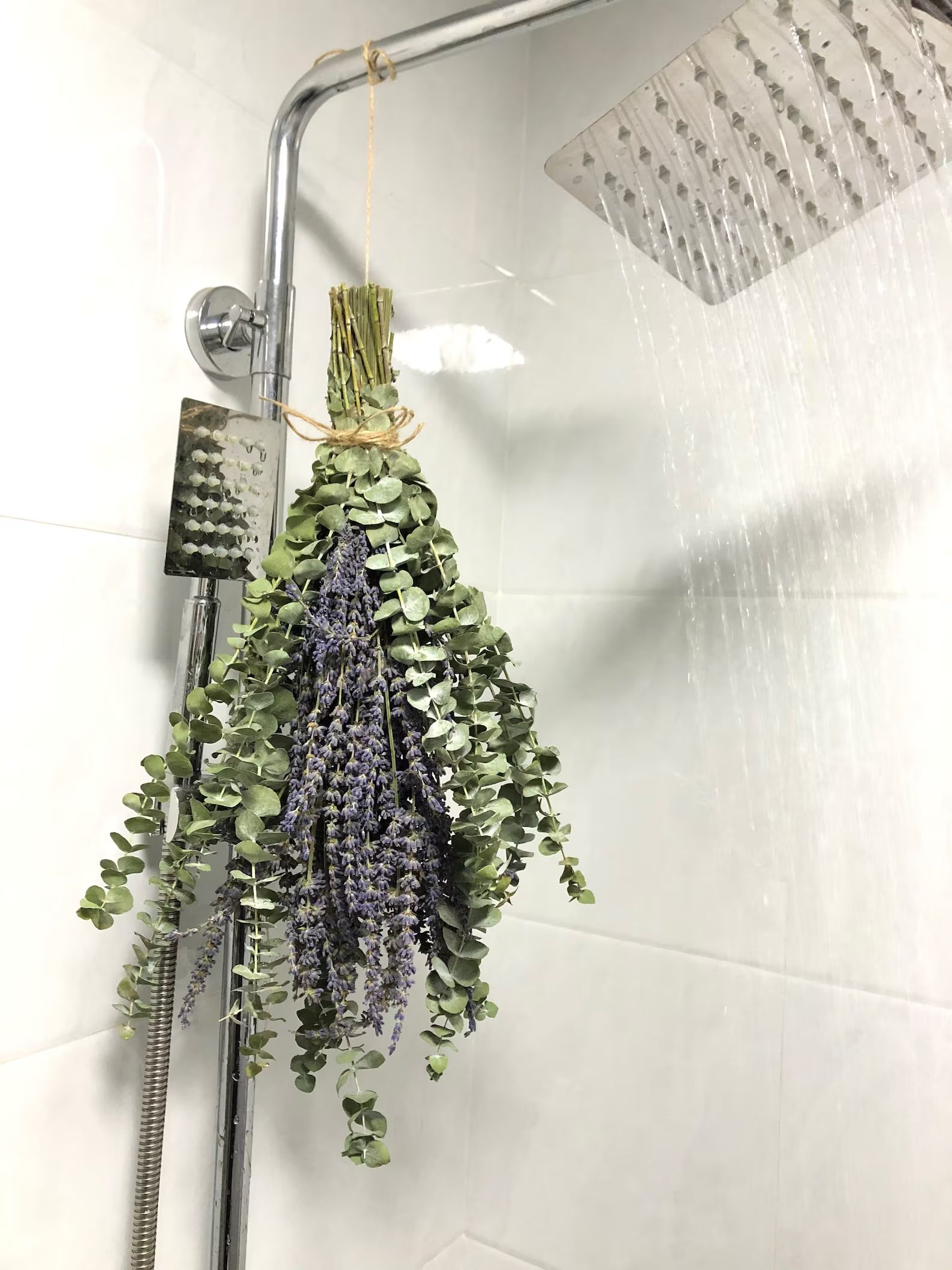 Shower Eucalyptus Bundle With Lavender Aromatherapy Shower | Etsy | Etsy (US)