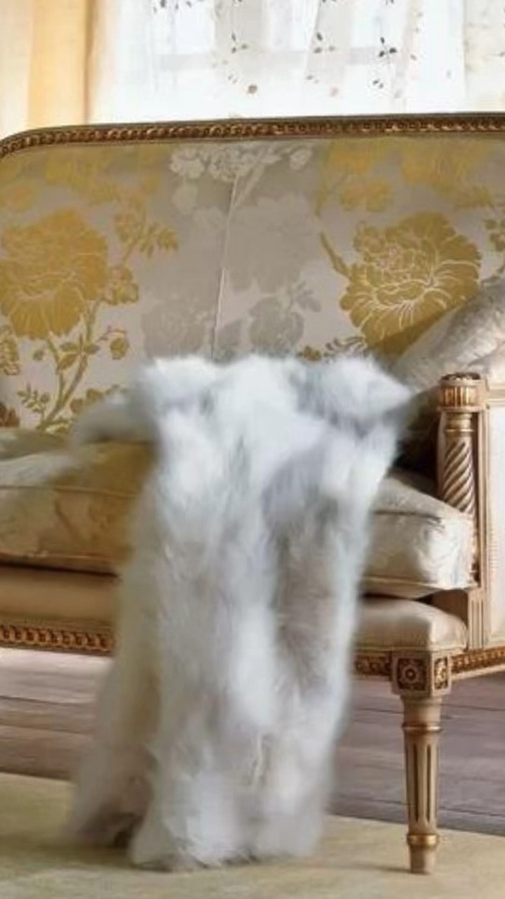 Introducing our ELEGANT SOFA COLLECTION, where timeless design meets French Country charm. Each sofa in this collection is inspired by classic French Country decor, offering a perfect blend of elegance, comfort, and versatility. Designed for easy maintenance and a relaxed, sophisticated look, these sofas are ideal for creating an inviting and stylish living space.

The collection features beautifully crafted frames, graceful lines, and plush cushions that provide ultimate comfort while maintaining an air of refinement. Whether you’re furnishing a cozy cottage or a grand estate, these sofas bring a touch of understated luxury to your home. The neutral color palettes and classic silhouettes make them versatile enough to complement any decor style.

Perfect for everyday living or special gatherings, our Elegant French Country Inspired Sofa Collection is designed to stand the test of time, offering both durability and enduring style. Elevate your home with the classic beauty of these exquisite sofas, and enjoy a piece of furniture that truly embodies the essence of French Country living. 

#LTKBeauty #LTKHome #LTKStyleTip