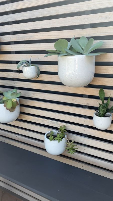 Favorite ceramic wall planters! West Elm vibes for a fraction of the cost! Comes in different colors! 

#LTKhome #LTKSeasonal #LTKVideo