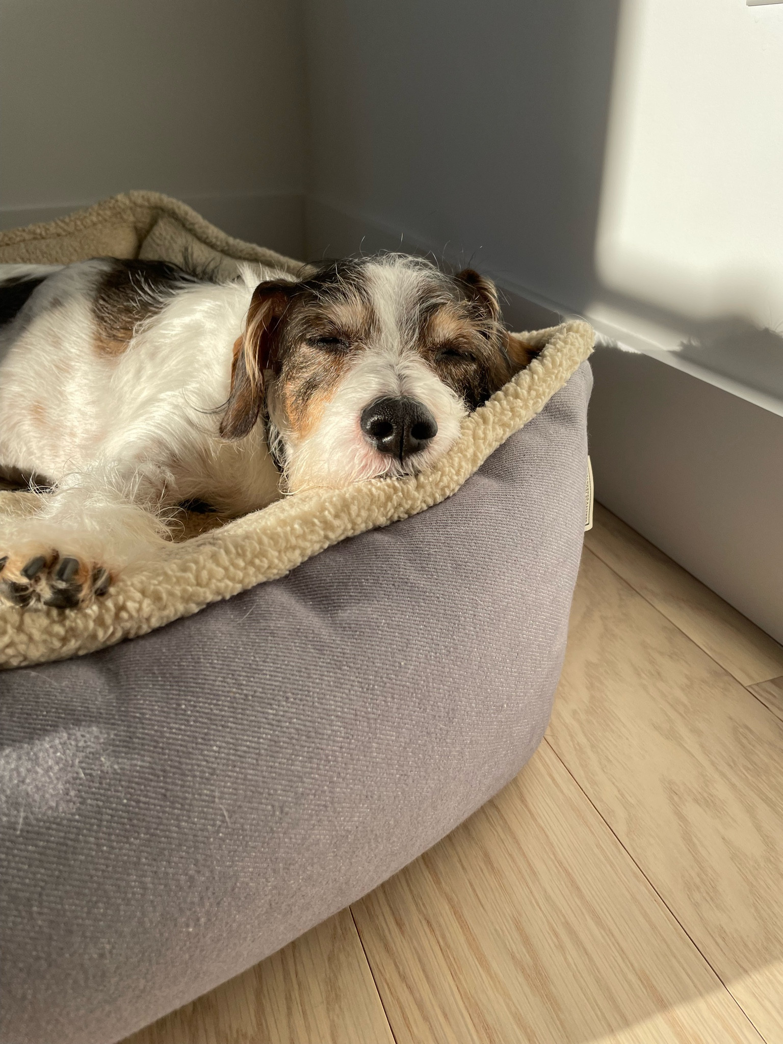 Friday.

#LTKHome #LTKFamily