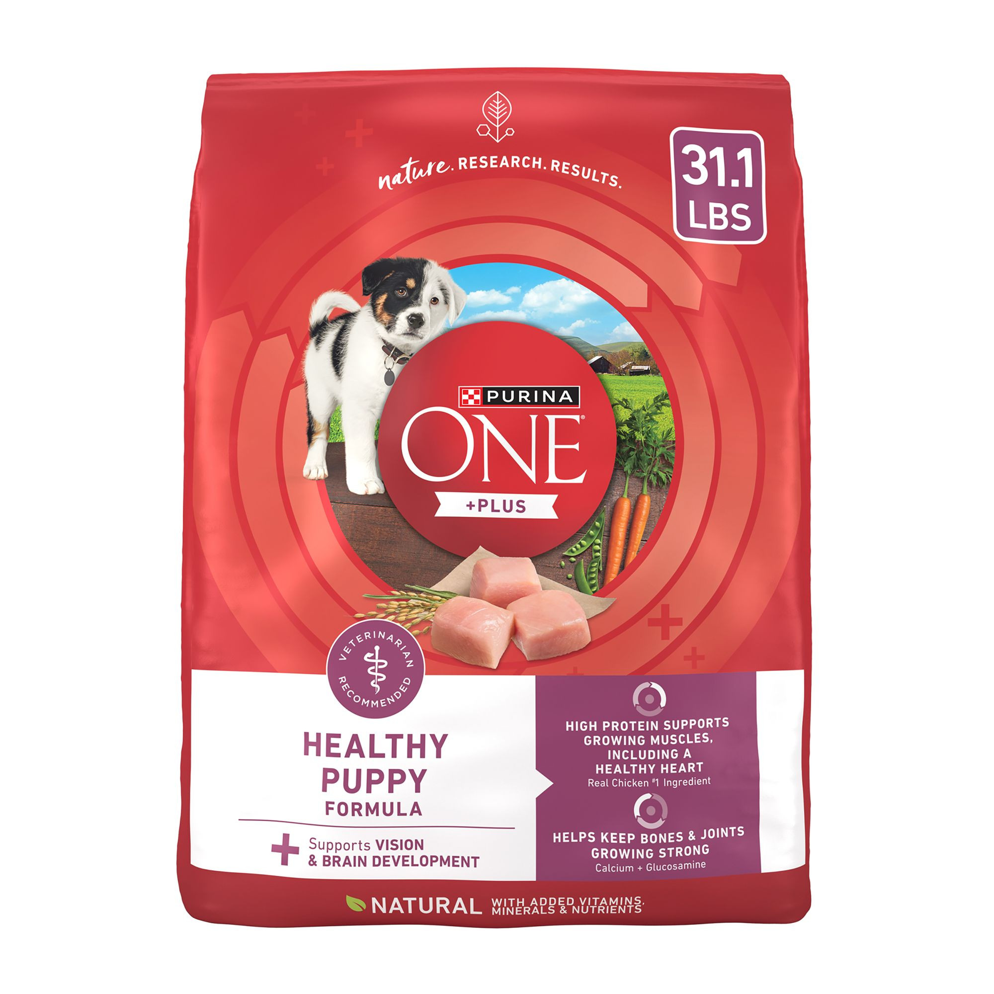 Purina ONE® +Plus Puppy Dog Dry Food - Chicken, Natural, High-Protein | PetSmart