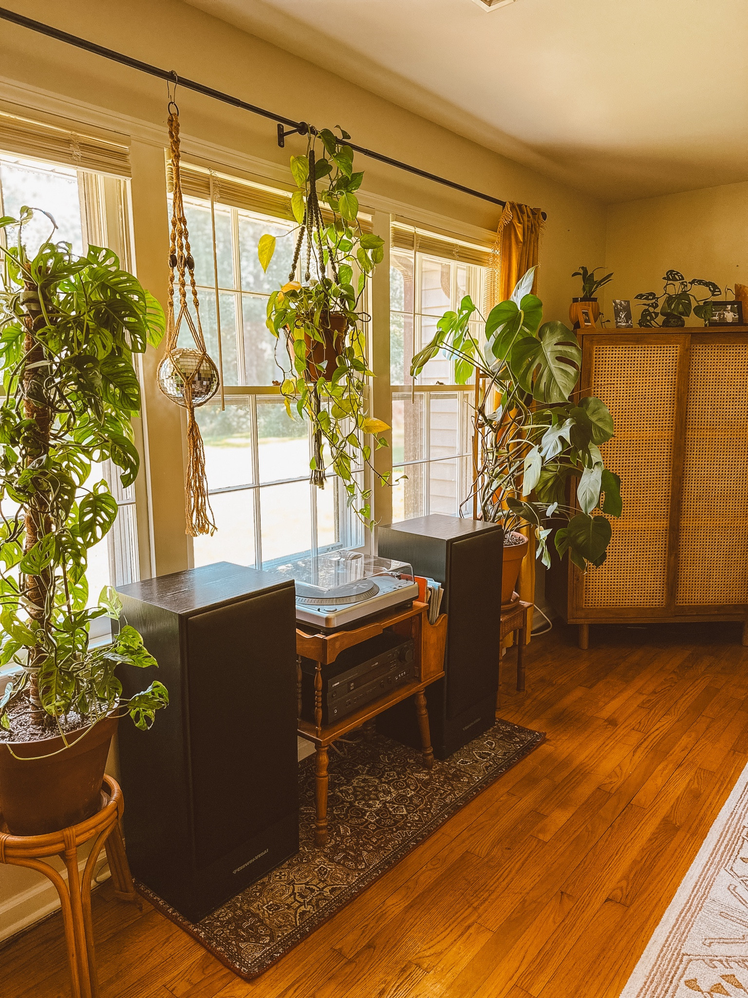 boho living room 🌿

#LTKStyleTip #LTKU #LTKHome