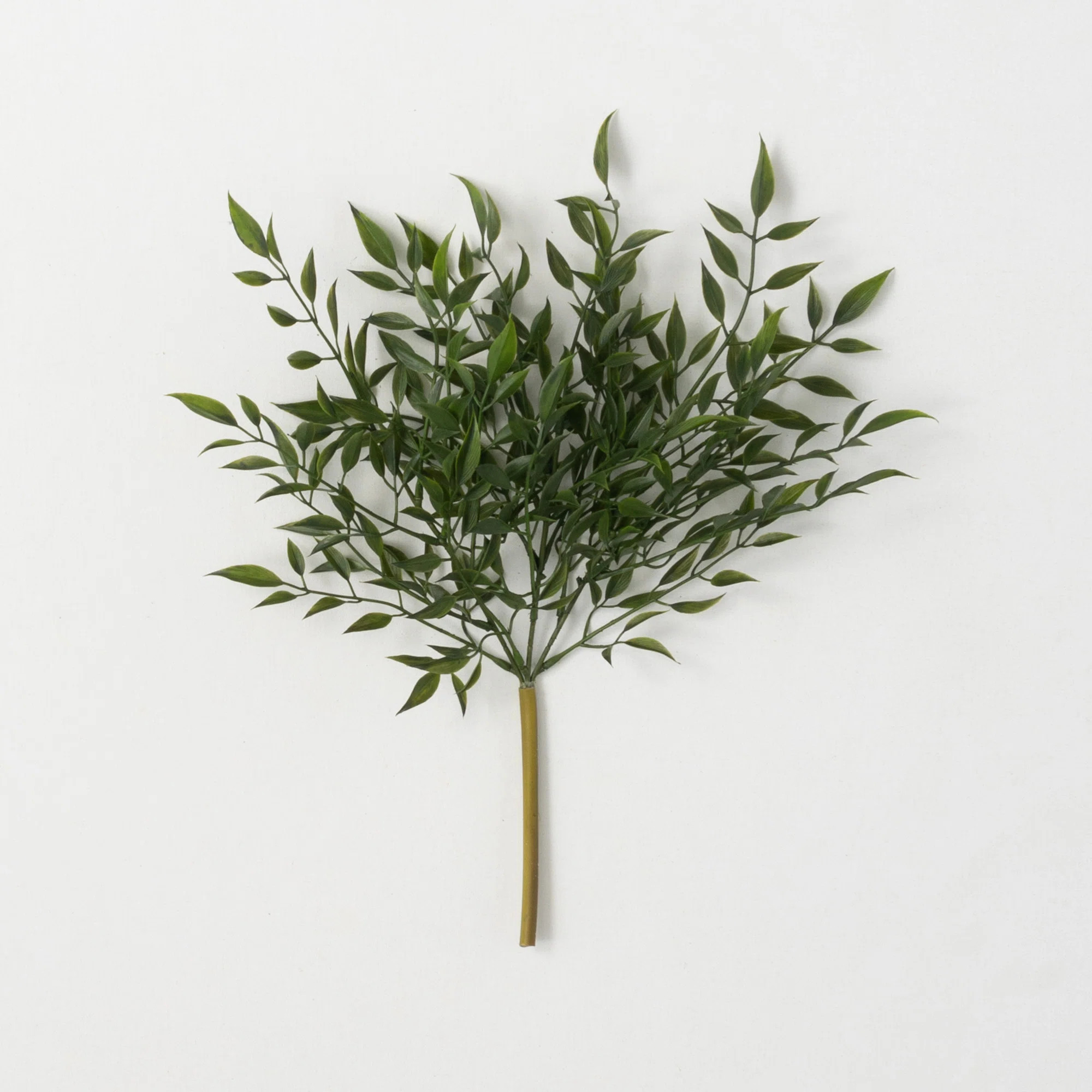 Joss & Main Quiller Ruscus Stems | Wayfair | Wayfair North America