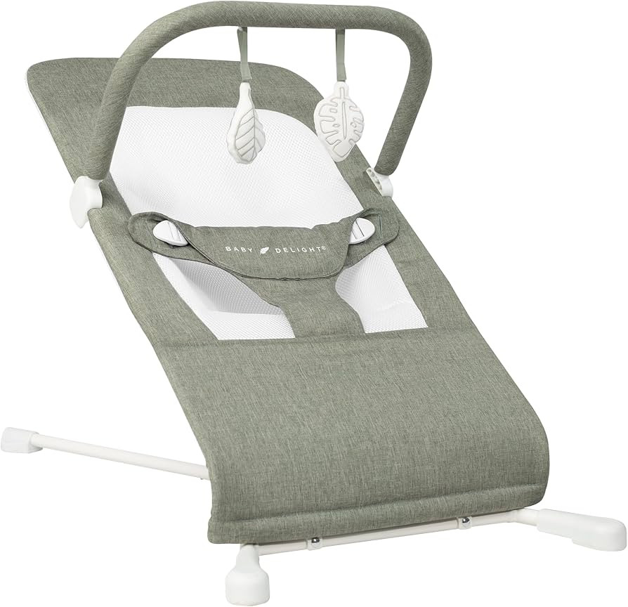 Baby Delight Highland Baby Bouncer | Infant | 0 – 6 Months | 3-Position Recline | Sage Tweed | Amazon (US)