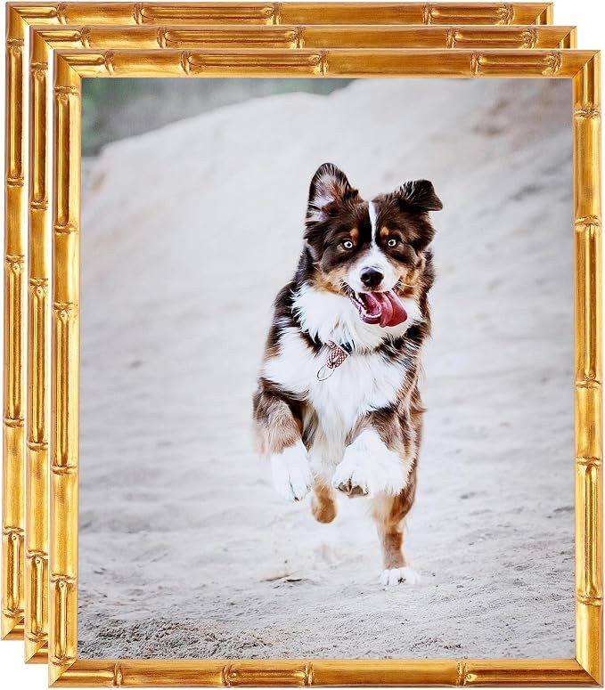 ArtToFrames 12x12 Inch Gold Picture Frame, 3 - Pack, This 0.75 inch Custom Wood Poster Frame is G... | Amazon (US)