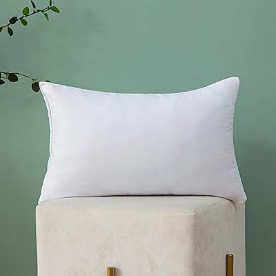 MIULEE Throw Pillow Insert Hypoallergenic Premium Pillow Stuffer Sham Rectangle for Decorative Cu... | Amazon (US)