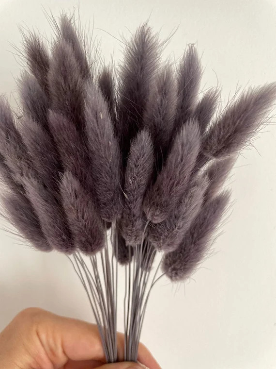 20 pcs Dried Lagurus Dark grey bunny tails Dried bunny | Etsy | Etsy (US)