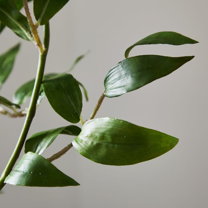 Faux Ficus Leaf Stem | West Elm (US)