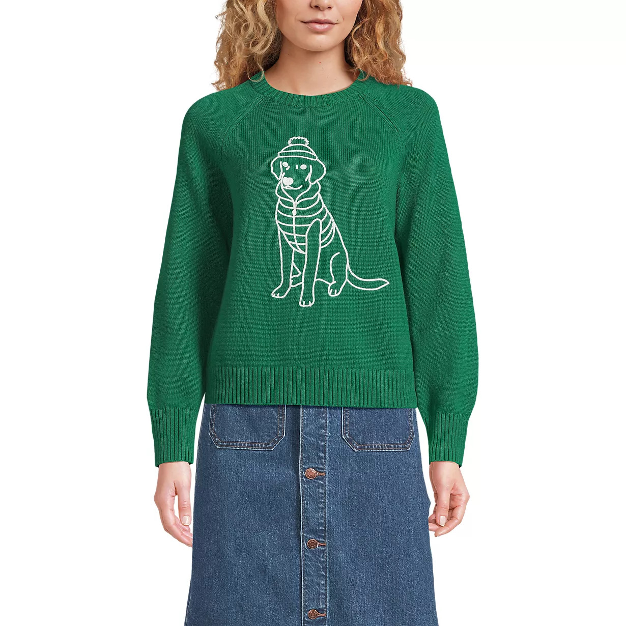 Women's Drifter Embroidered Raglan Crew Neck Sweater | Lands' End (US)