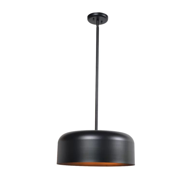 Holm 2 - Light Single Dome Pendant | Wayfair North America