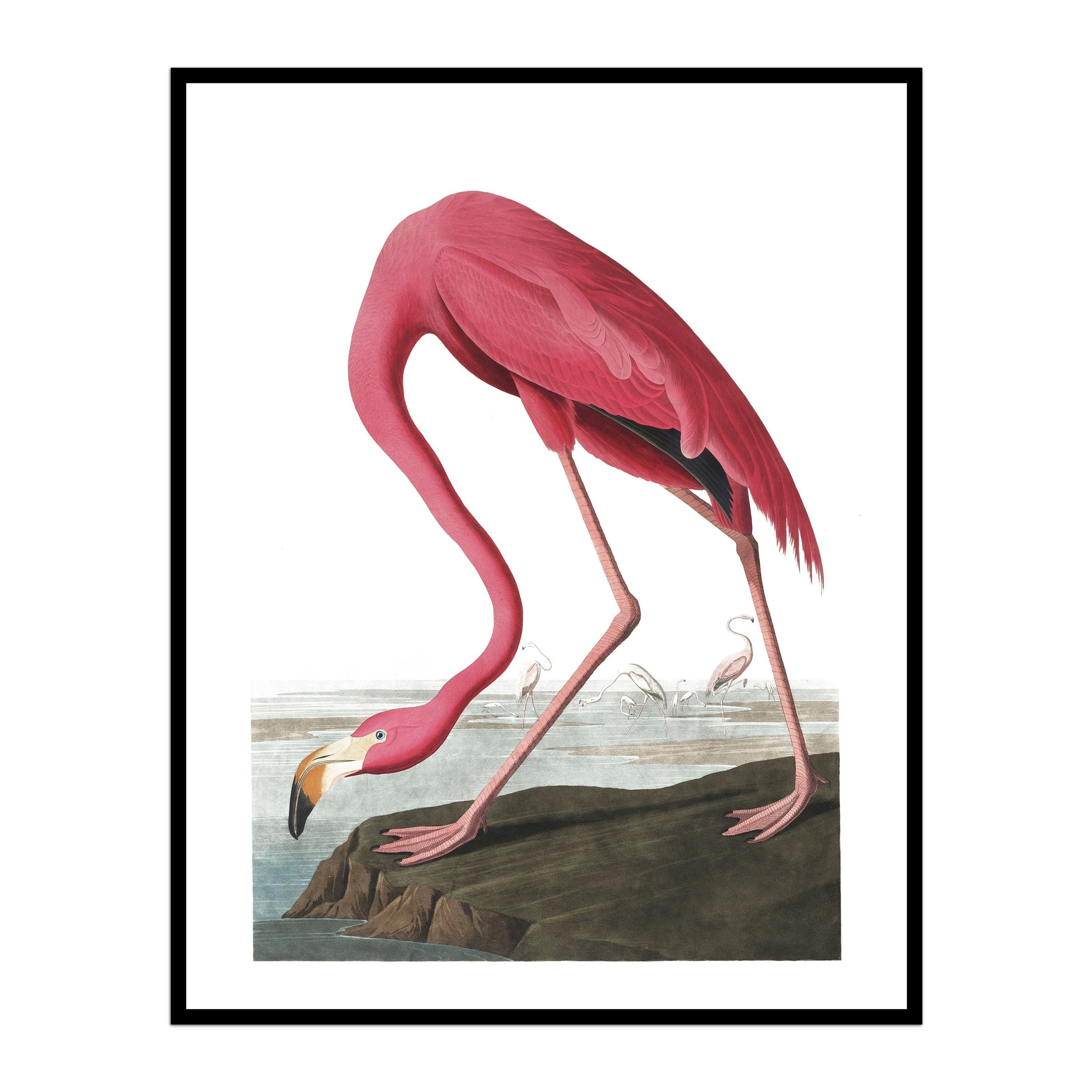 Vintage Flamingo on the Rock | Urban Garden Prints