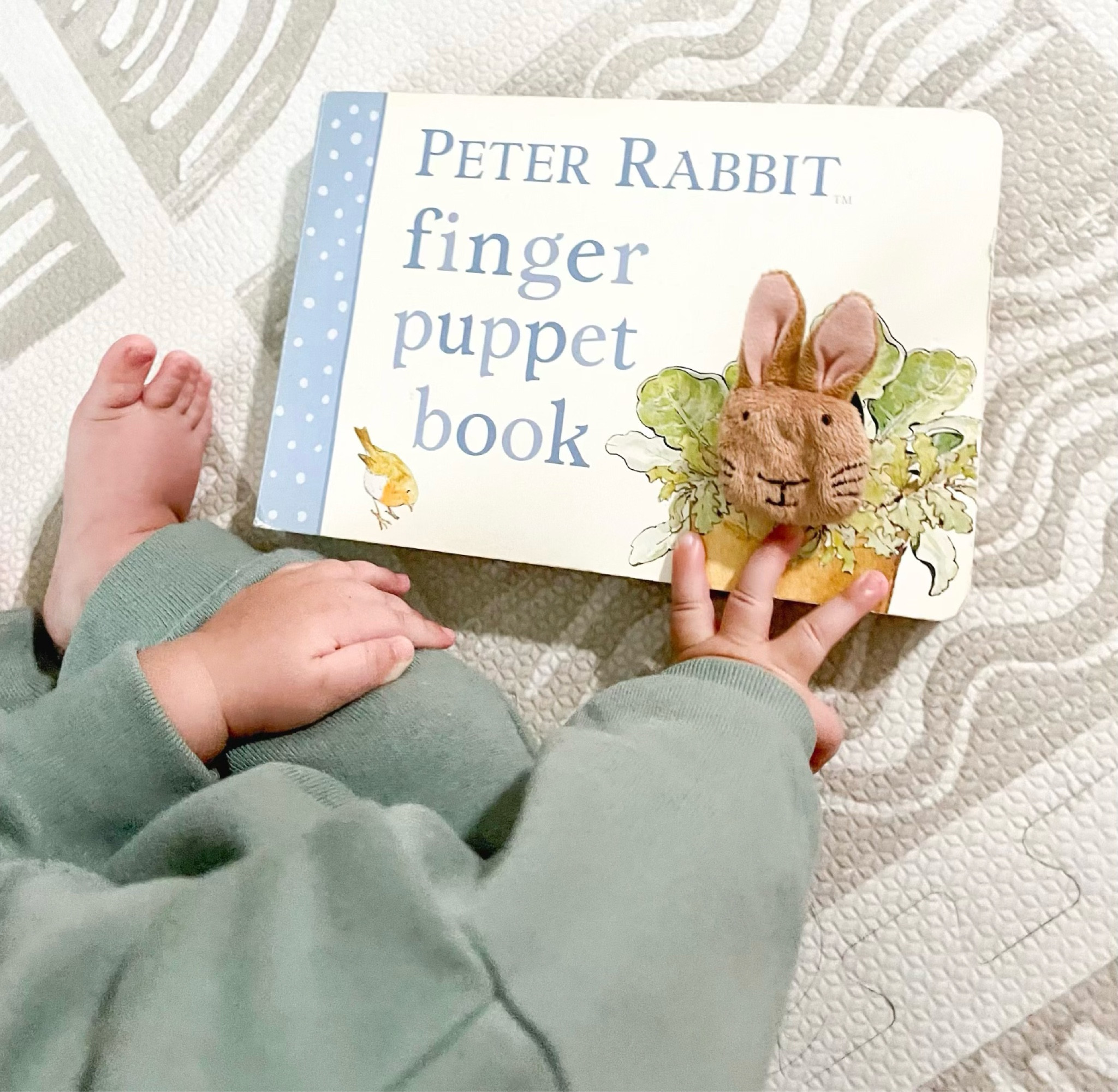 Peter Rabbit Finger Puppet Book Peter Rabbit Finger Puppet Book