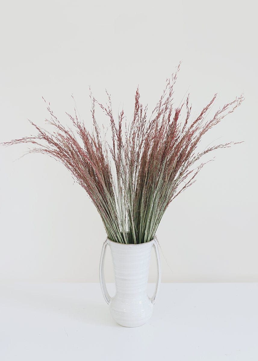 Dried Silk Grass in Pink 28” | Afloral (US)