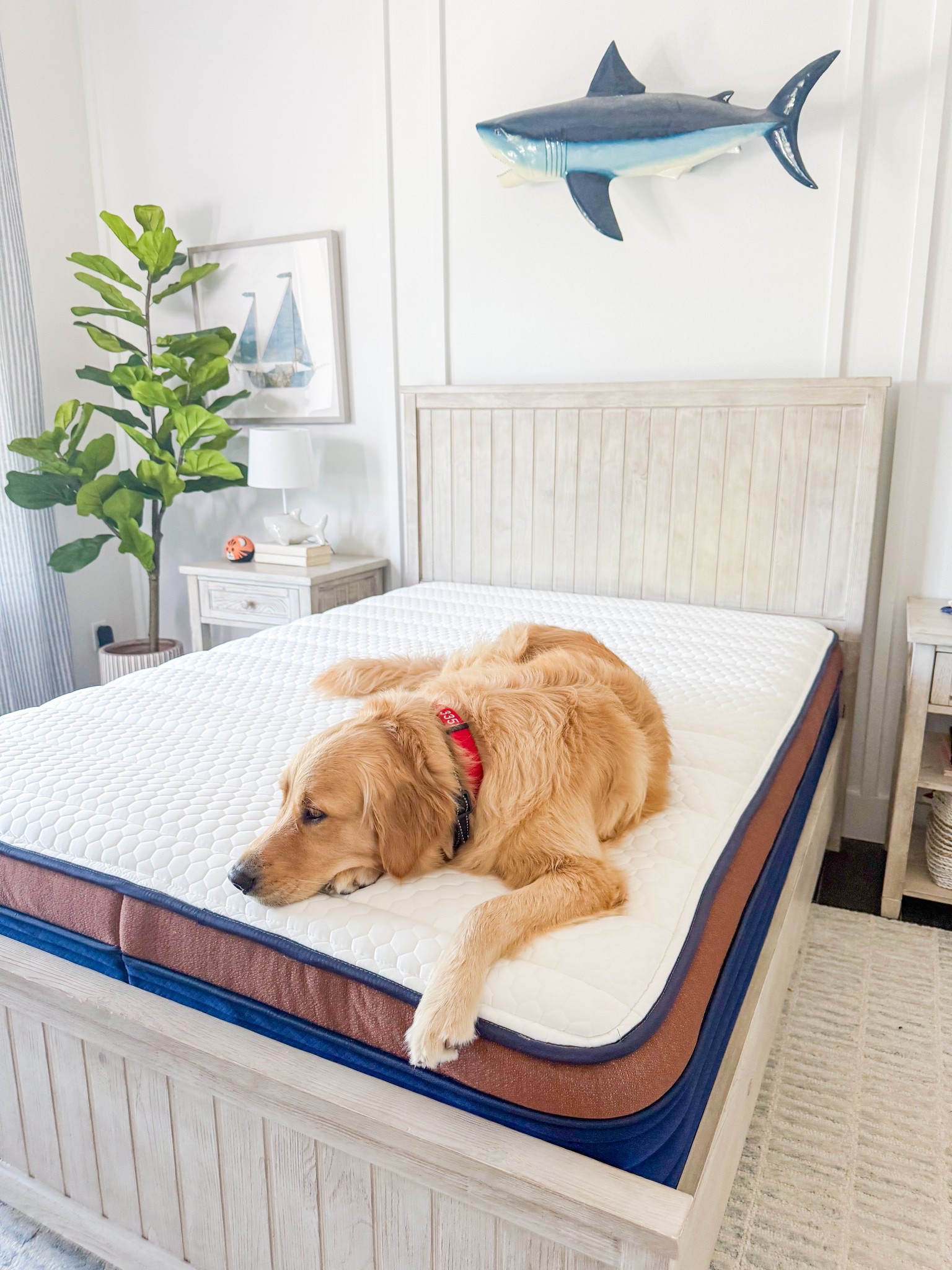 The Brooklyn Bedding CopperFlex Mattress delivers cool, clean, pressure-relieving comfort with copper-infused foam and supportive coils—perfect for all sleep positions. There’s something oddly satisfying about hearing it decompress and come to life the moment you unbox it! #brooklynbedding @brooklynbedding #CopperFlex #ad



#LTKHome #LTKOver40