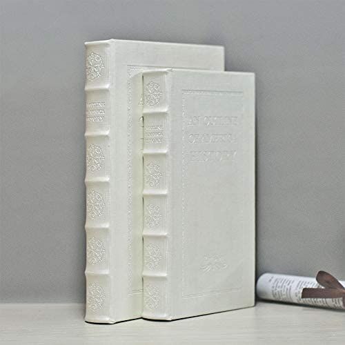 NC Decorative Books with White Faux Leather woodon Book Box for Decoration Display Cafe Hotel Home B | Amazon (US)