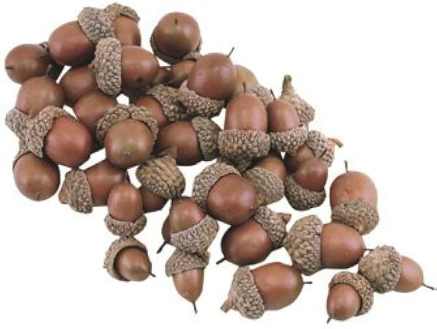 Bag of Acorns Natural Look Resin Country Primitive Fall Décor | Amazon (US)