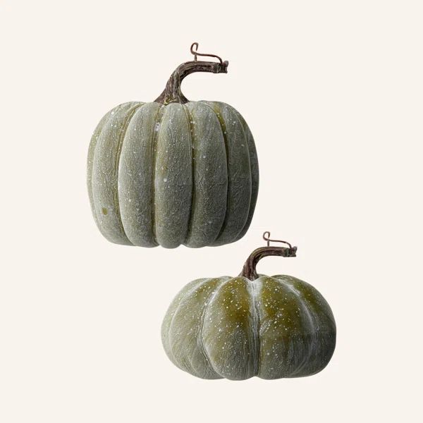 2 Piece Waterproof Weathered Pumpkin Set | Wayfair Professional