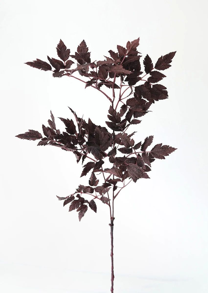 Plum Fake Cimicifuga Ramosa Leaves - 31 | Afloral (US)