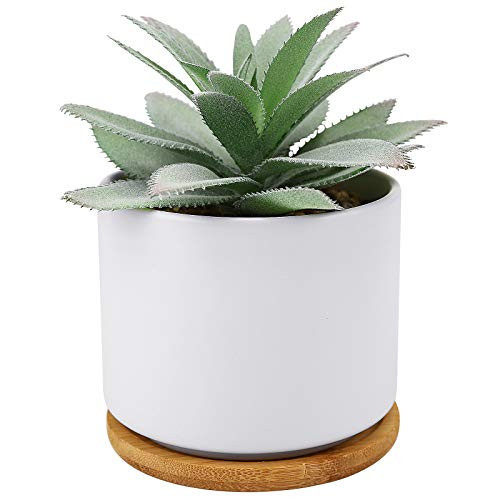 Hopewood Succulent Plants Artificial - Faux Agave Succulent Plant in Ceramic Pots with Bamboo Tray for Office Desk Living Room Decor(5.9inch) | Amazon (US)