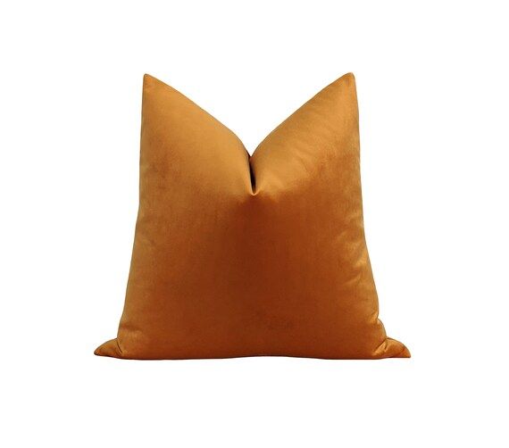20x20 Solid Velvet Pillow Cover Pumpkin Spice Velvet Pillow | Etsy | Etsy (US)