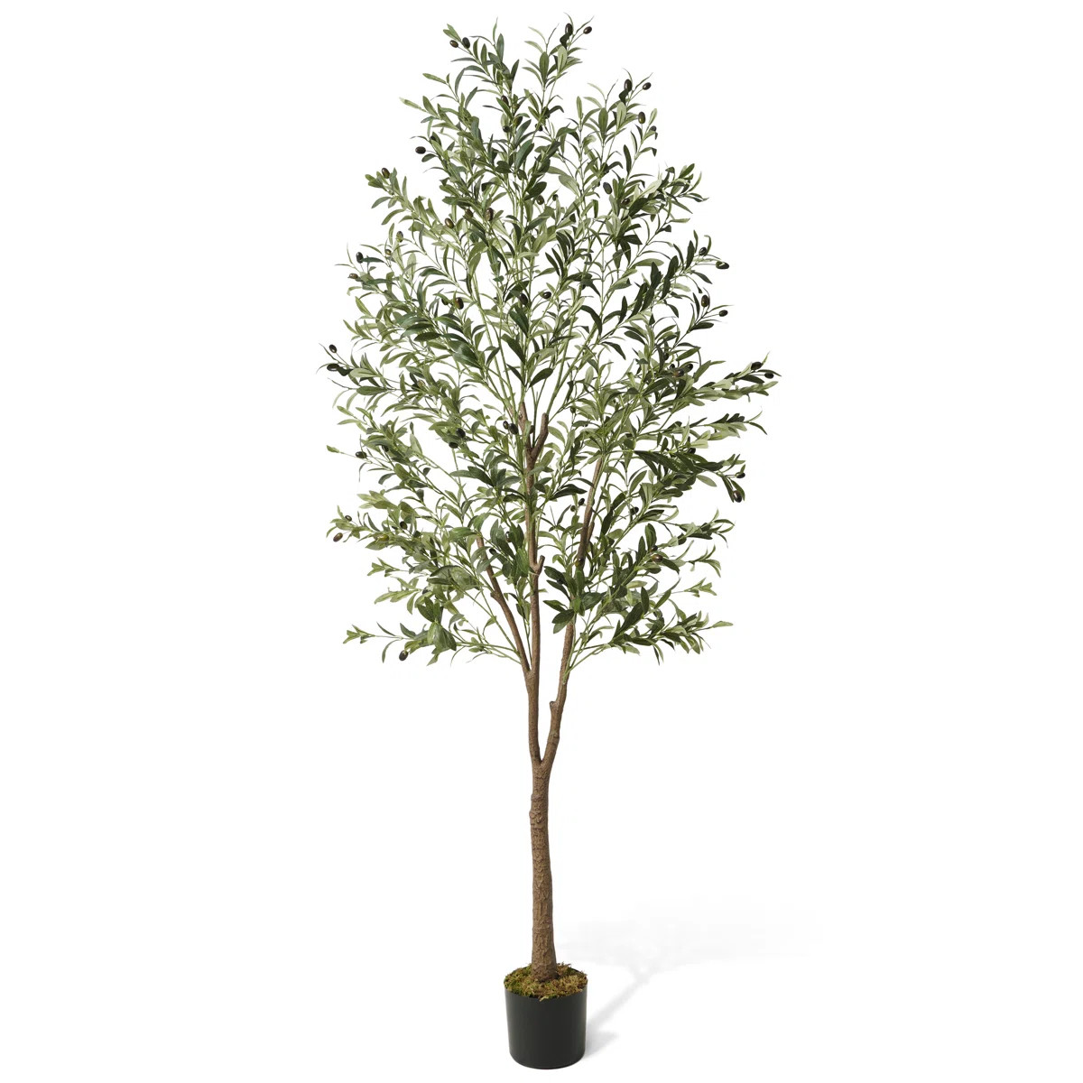 CAPHAUS Artificial Olive Tree with Fruit, Fake Potted Topiary Tree with Dried Moss, 5 / 6 / 7 Fee... | Wayfair North America