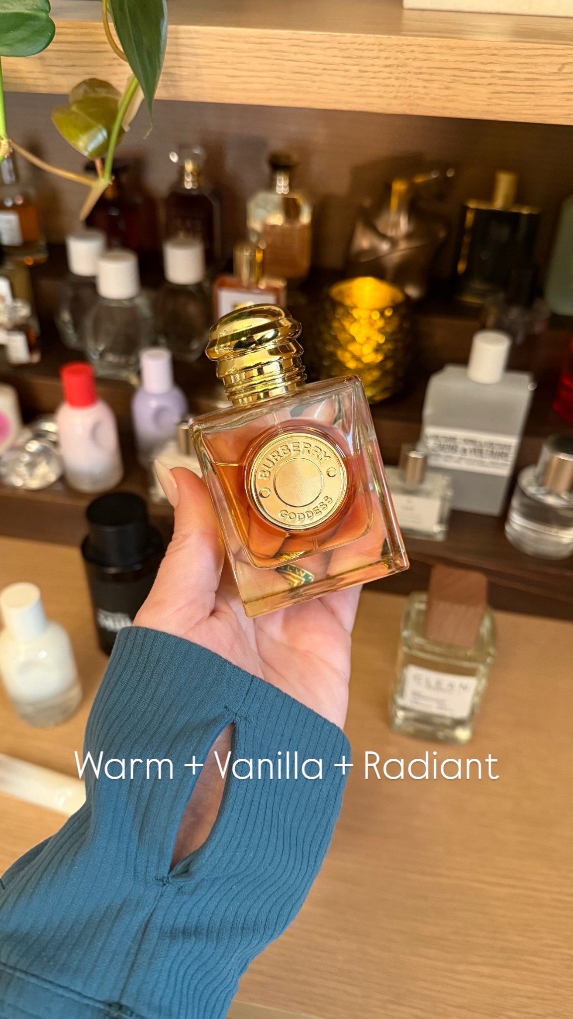 This is my go-to warm vanilla when I want something confident and feminine. It always gets compliments! 

#LTKBeauty #LTKSeasonal #LTKgrwm