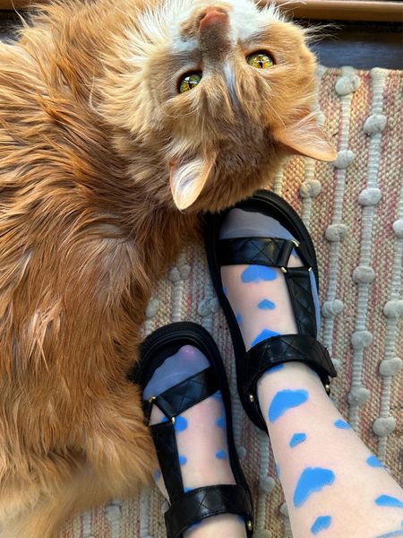 I love that these sandals can be worn casual or dressed up. It makes them a perfect choice for travel since they are so comfortable too. Cat approved 😹😻

#LTKShoeCrush #LTKStyleTip #LTKTravel