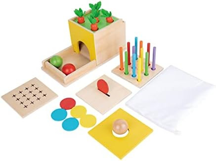 Adena Montessori 5 in 1 Object Permanence Box Toddler Play Kit Toys for 1 Year Old Babies 6-12 Mo... | Amazon (US)
